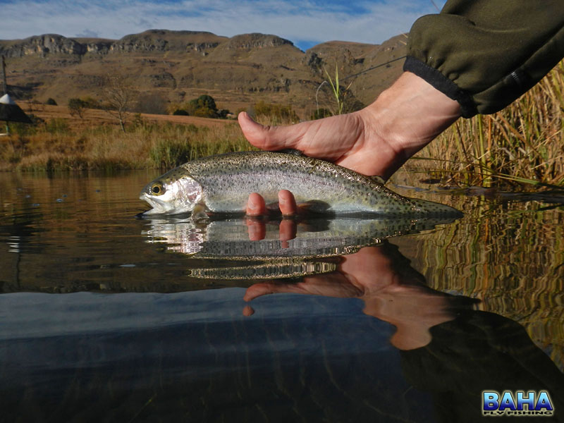 Thendela Fly Fishing Project